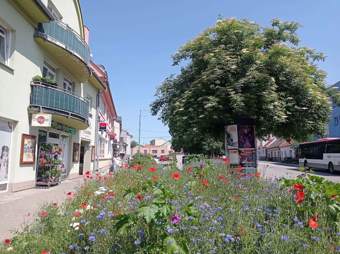 17. listopadu